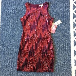 NWT Wine Colored Sequence Dress